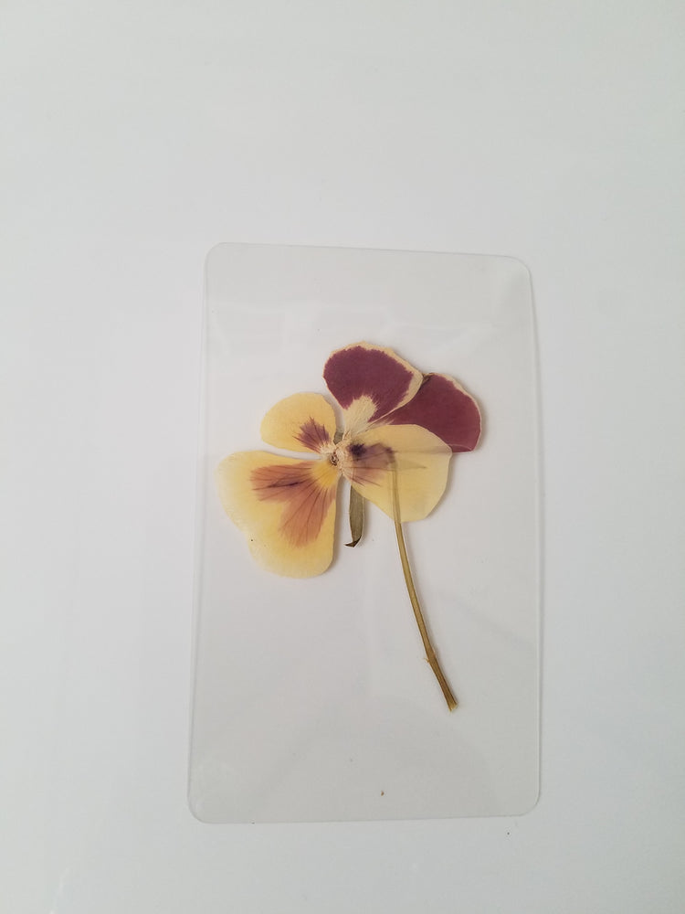 Wildflower Bookmark #108