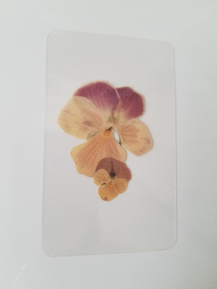 Wildflower Bookmark #131