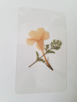 Wildflower Bookmark #138