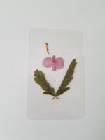 Wildflower Bookmark #145
